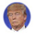Icoon van programma: Election Rigger