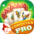 程序图标：Conquian Pro