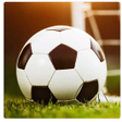 Ikon program: Dream Star League Soccer …