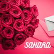 Icon of program: Sahara Romantic Novel