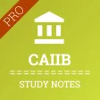 CAIIB Study Notes Pro