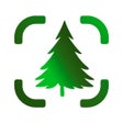 أيقونة البرنامج: Tree Identifier AI Treelo…