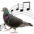 Icon of program: Sonidos de Palomas
