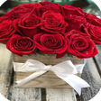 程序图标：Pictures of Roses