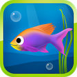 程序图标：Best Hungry Fish