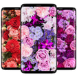 Icon of program: Flowers Wallpapers