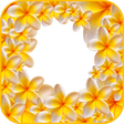 プログラムのアイコン：kids photo frames