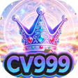 CV999RiseCue icon