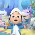 程序图标：cocotube - shark video