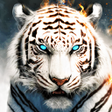 Ícone do programa: White Tiger Wallpaper HD