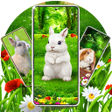程序图标：Cute bunny easter wallpap…
