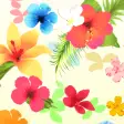 Tropical Summer Wallpaper