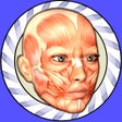 Icoon van programma: Speed Anatomy Lite Quiz