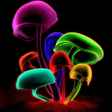 Ikona programu: Neon Wallpaper 4k