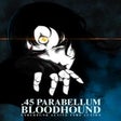 Programikonen: .45 Parabellum Bloodhound