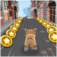 プログラムのアイコン：Cats Run