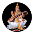 Icon of program: Shadjam Carnatic Kit