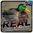 Ícone do programa: Real Duck Simulator