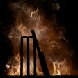 Icon of program: Ashes Cricket