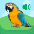Ikon program: Animal Sounds - Funny Sou…
