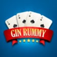 Icône du programme : Gin Rummy Card Game Class…