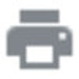 Icon of program: Printer Extension