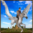 Icon of program: Flying Horse Extreme Ride