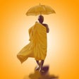 Icon of program: Sariputta