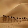 Symbol des Programms: Camel Caravan in Libyan D…