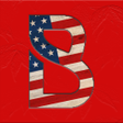 Icon of program: Sports USA for Bovada