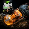 Icône du programme : Ant Sim Tycoon