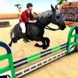 Mounted Horse Riding Show Jump