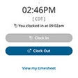 프로그램 아이콘: Toggle SWB timeclock butt…