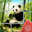 Icoon van programma: Jigzen Puzzles