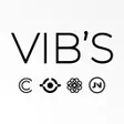 プログラムのアイコン：VIBS