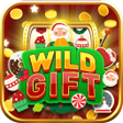 程序图标：Wild Gift