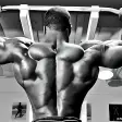 all lats exercices
