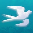 Programın simgesi: BirdingApp.