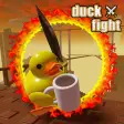 duck fight