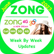 Icon of program: Zonge All Packeges 2022