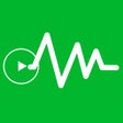 ไอคอนของโปรแกรม: Video Voice Changer Pro