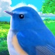 أيقونة البرنامج: 鳥マスター