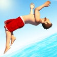 Programın simgesi: Flip Diving
