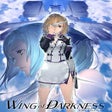 프로그램 아이콘: Wing of Darkness