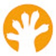 Icoon van programma: Gecko learn