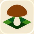 Icône du programme : Mushroom Spot: mushroom m…