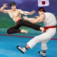 プログラムのアイコン：Kung Fu Fight: Karate Fig…