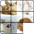Icon of program: Sliding Puzzle Cats
