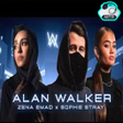 Icoon van programma: Alan Walker Songs Offline