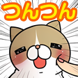 プログラムのアイコン：こちょねこつんつん